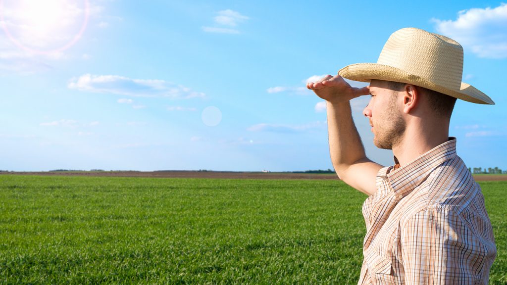 imposto-territorial-rural-itr-2021