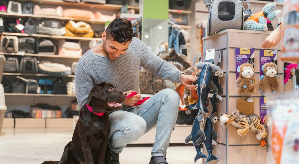 abrir um petshop em Belo Horizonte