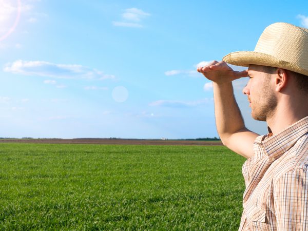 ITR é o Imposto Territorial Rural, uma declaração acessória que consolida os dados de imóveis rurais. Leia nosso conteúdo e tire suas dúvidas. 