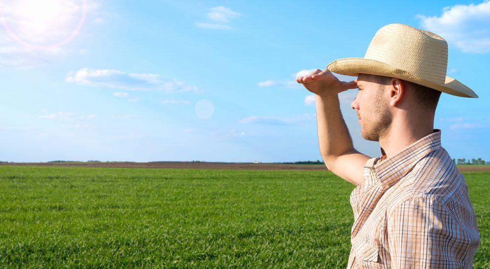 imposto-territorial-rural-itr-2021