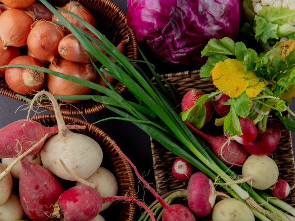Tributação para empresas do ramo alimentício: cuidados para não pagar impostos indevidos